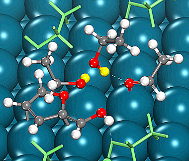 Reaction intermediates bound at a catalytic active site.